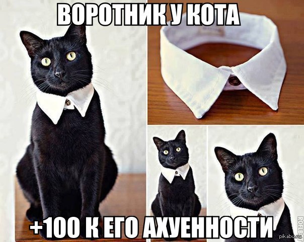 ��� �������, ����� ��� ����� ����