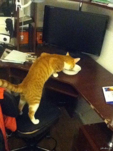 Всегда так...