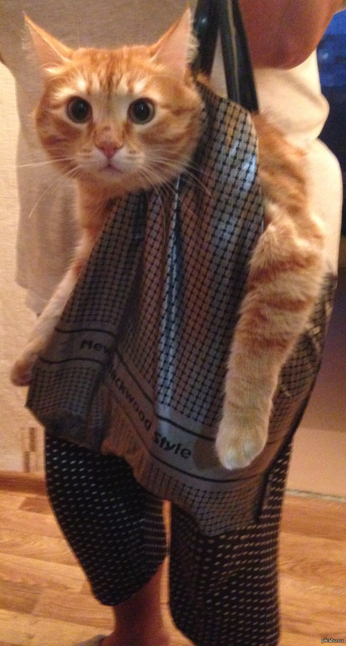 Отфотошопьте, плиз!