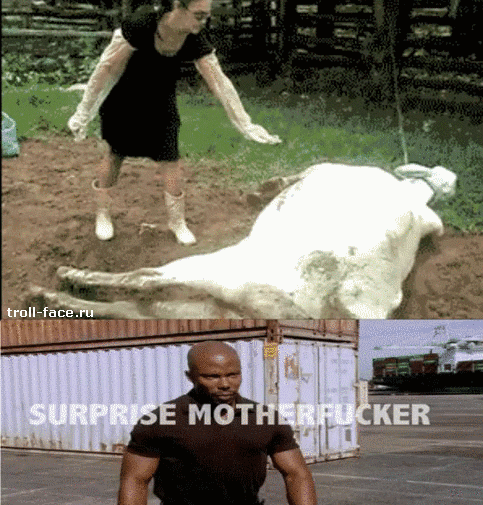 ����� ���������, � ���� ���������..