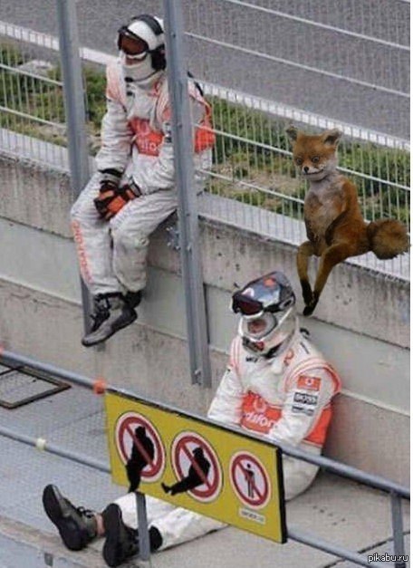 �������������...