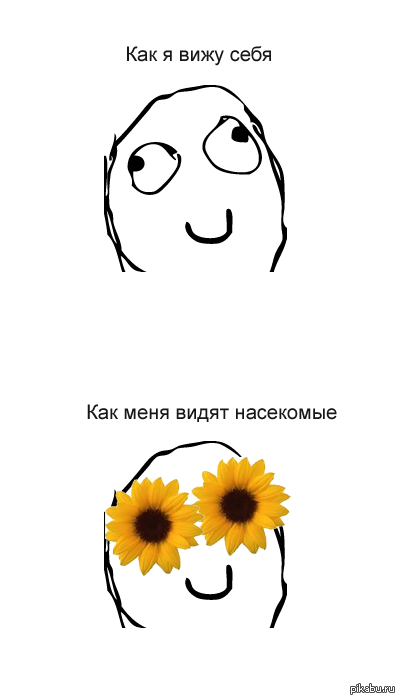 Заголовок | Пикабу