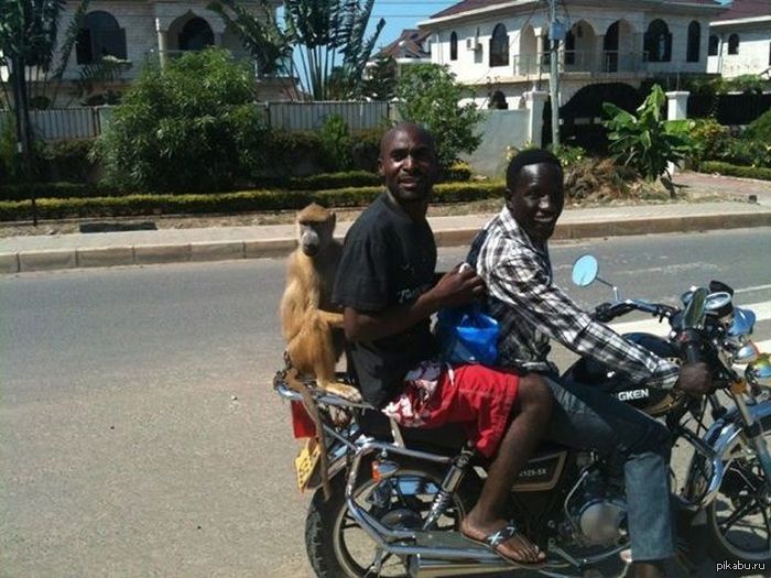 ��� �����, �� ���������!