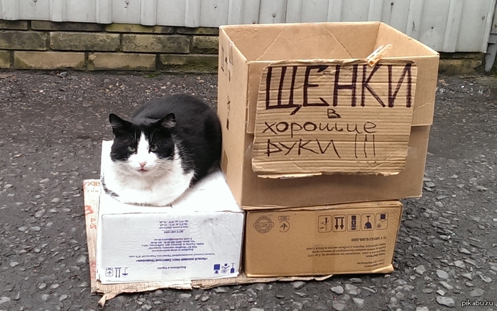 ������������)))