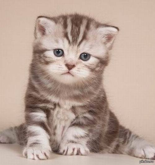 ��� �� ������ �� ��������� ���� ����� ������ �������?!