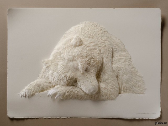 Объемные изображения животного. Стереограмма будда. Стереограммы для зрения. Бумажные скульптуры кальвин николс. Объемные изображения животного.