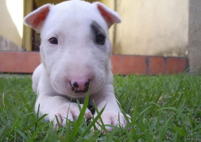 ������).