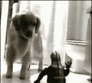 ��� ������ ��������