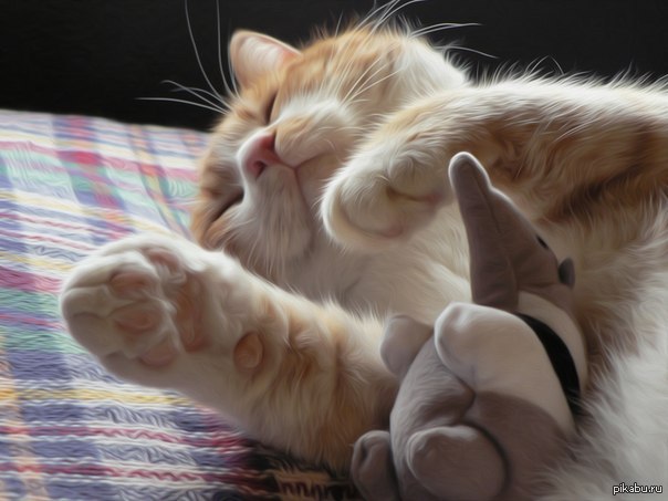 ������� � ������ ������