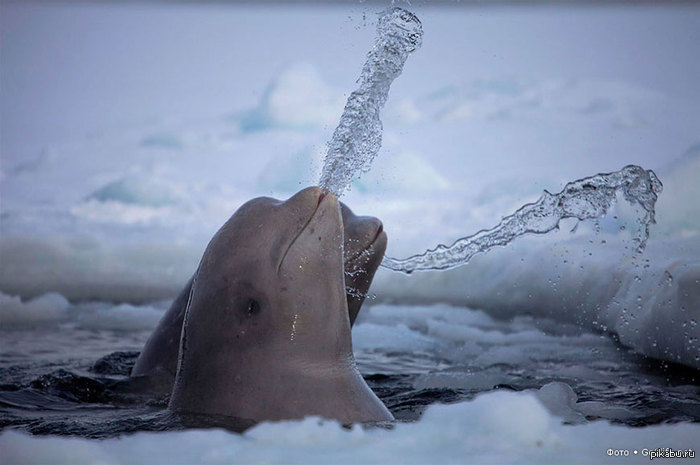 �� ������ ������ ������ ������~