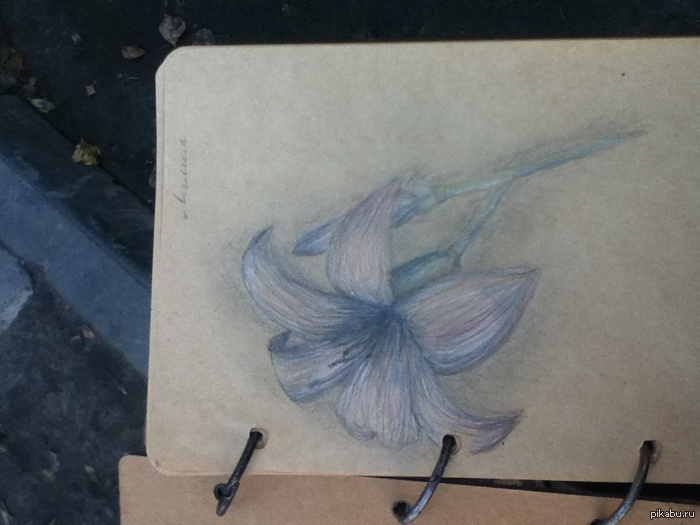 ������! ��� �������� �������!