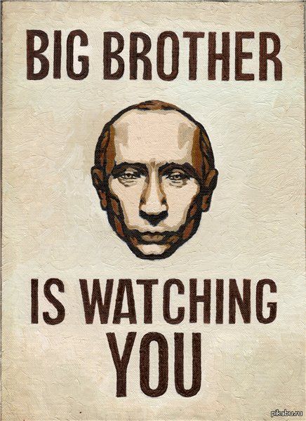 Big brother | Пикабу