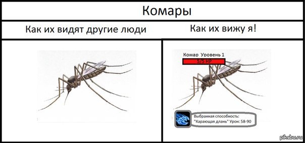 Как видят комары людей фото