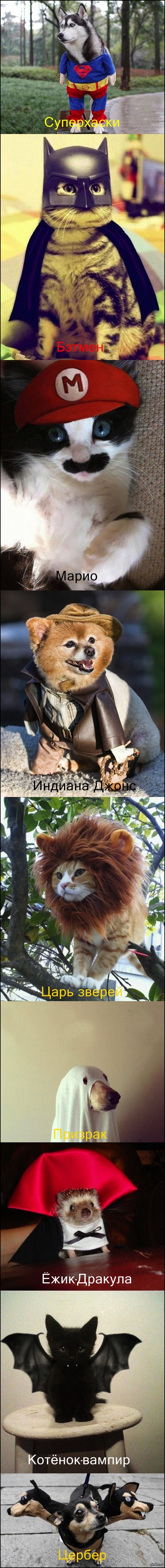 Творческий Хэллоуин