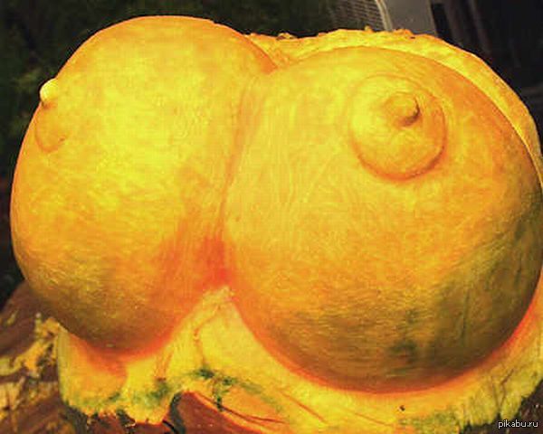 ���� �����!