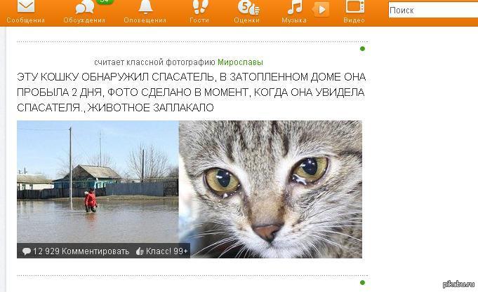 ���! ���� ������� ������  ���� ���� �����