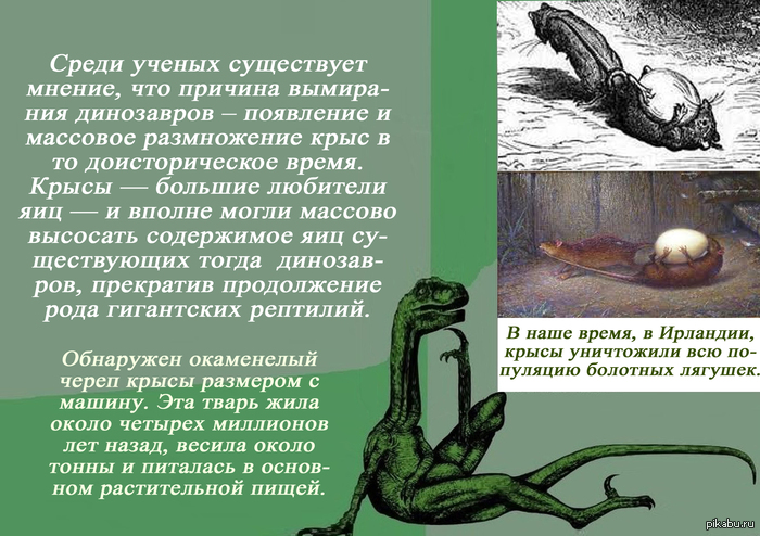 Как крысы съели динозавров