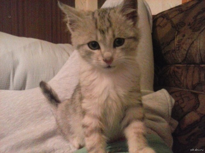 ���������� � �����:)