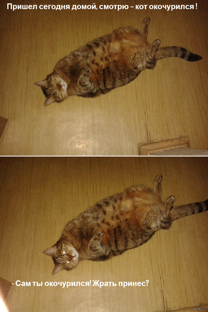 ��� ����������