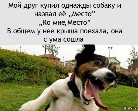 ��� ��� :(