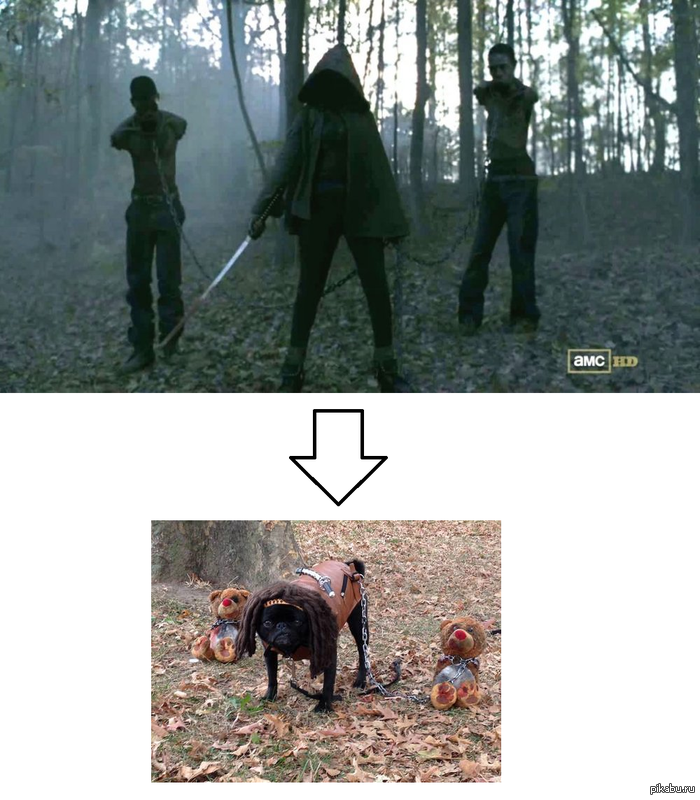 ��������� �������