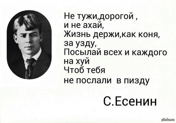 Стих есенина поэт тот кто Стих есенина поэт тот кто