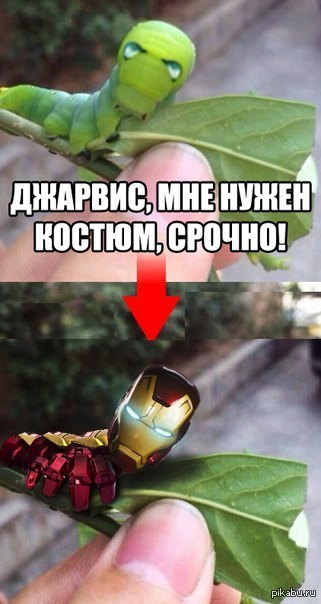 � ��������� ���������)