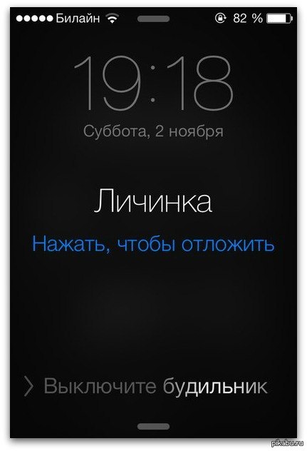 Личинка | Пикабу