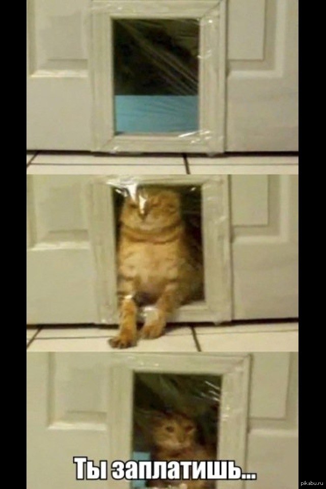 � ���� ������!