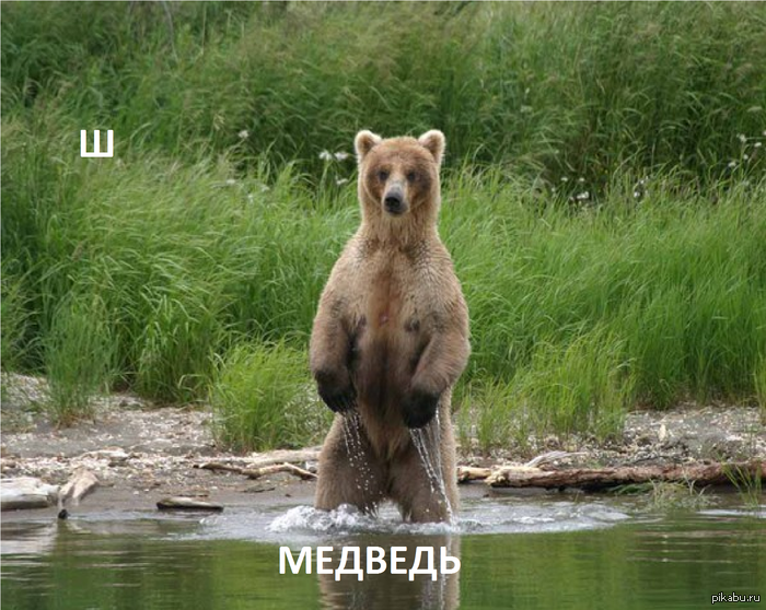 Продолжаем)