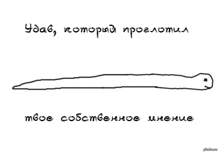 Удав | Пикабу