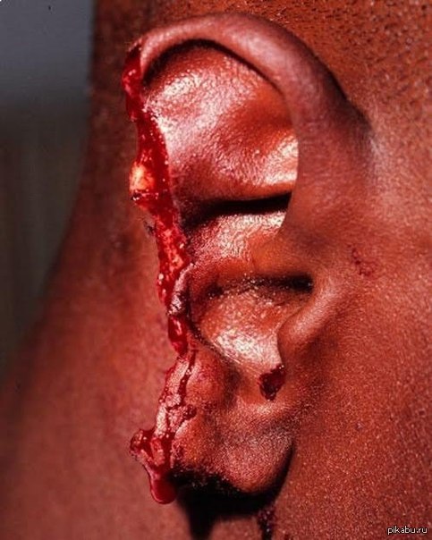 ��� �������� ��������� ����� ����, ��� ��� ������� ���� ������