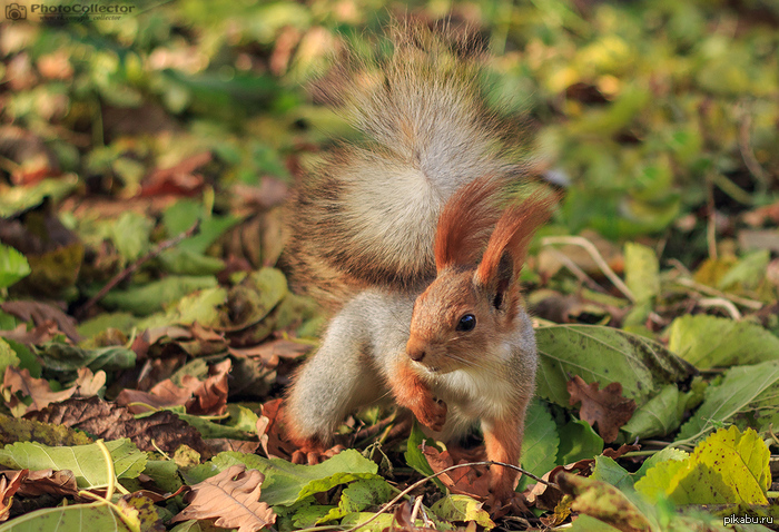 �������, �������... �������! ��������! :)