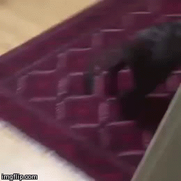  ! :)