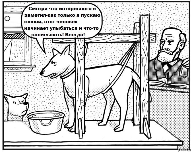 Кто же на самом деле ставил эксперименты