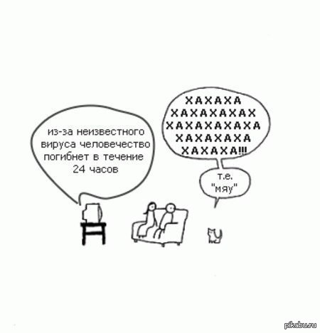 Злобный кот | Пикабу