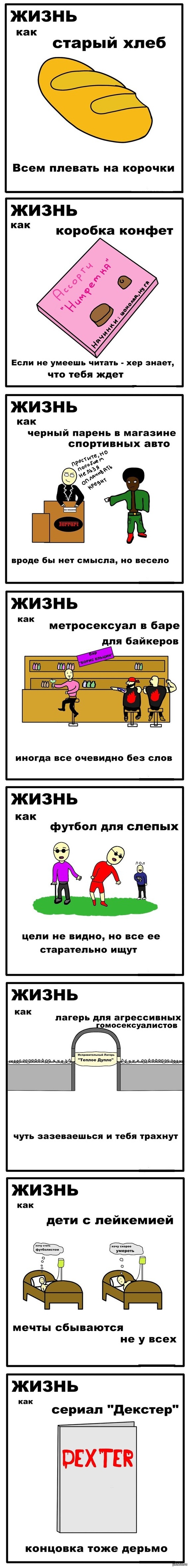 �����������