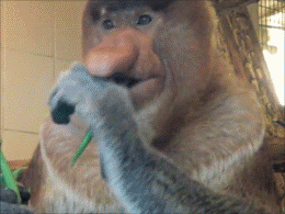 ����� � ������ �����