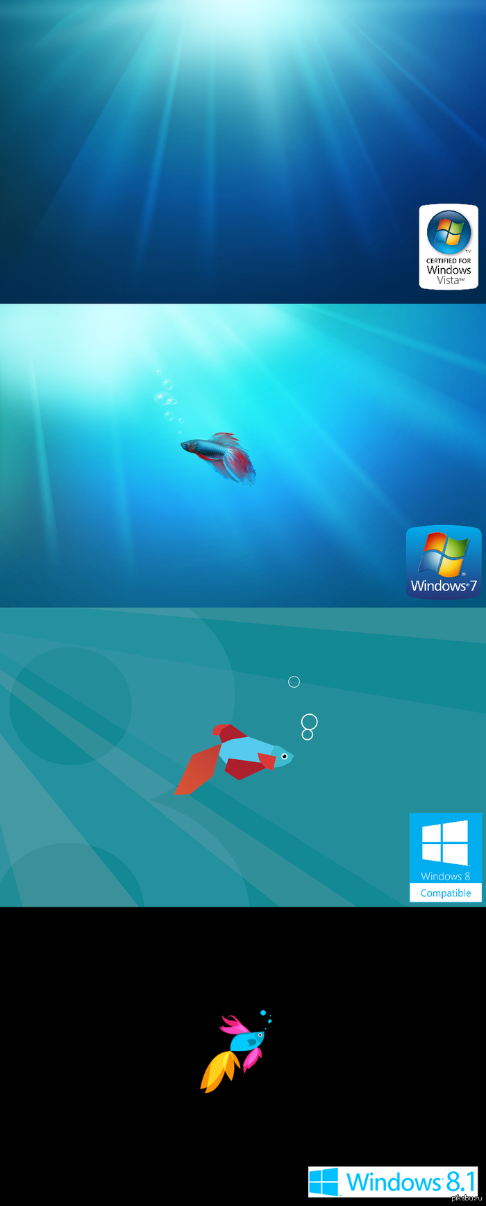 �������� Windows ������� ���������� M$