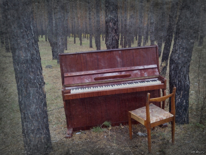 ����� � ������... ������� � ����!