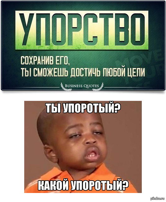 Упорство | Пикабу