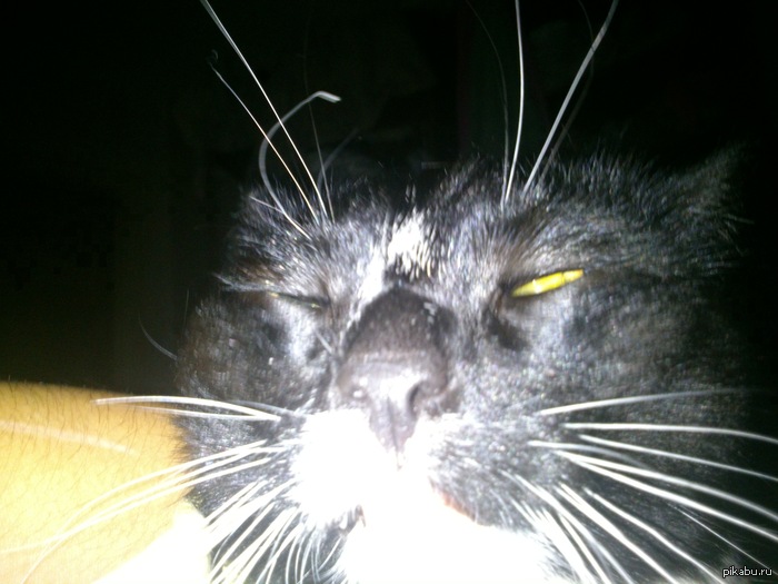 ��� ���)