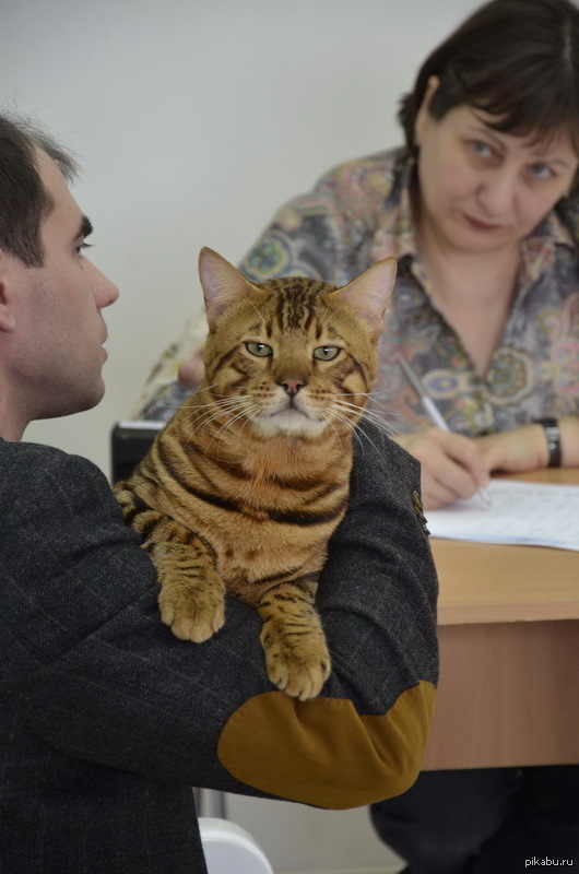 Фото с выставки...