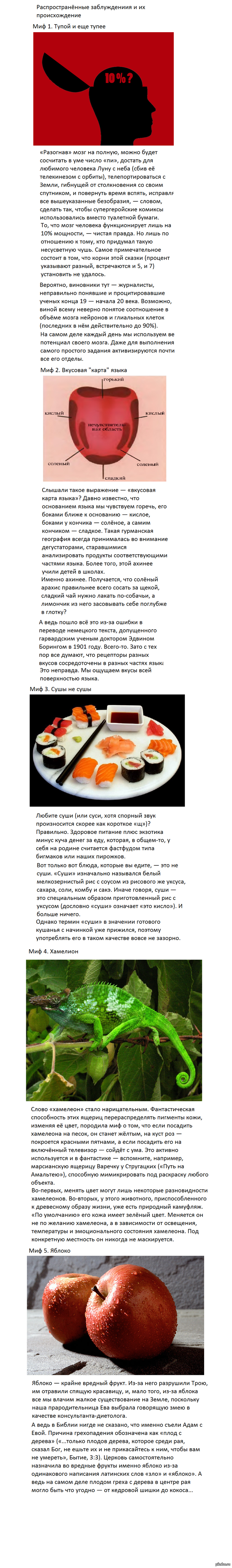 Некоторые заблуждения и их происхождение