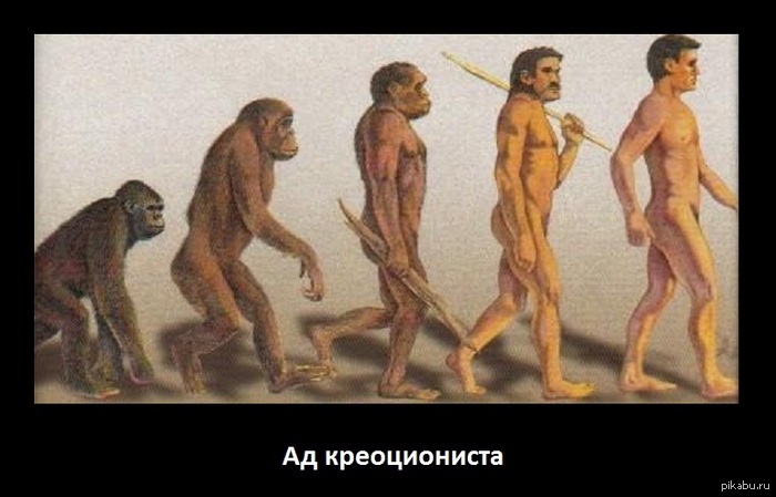 Ад креоционсита