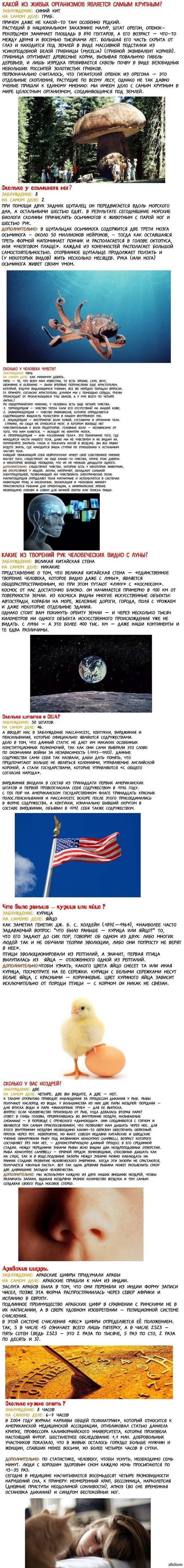 Распространенные заблуждения