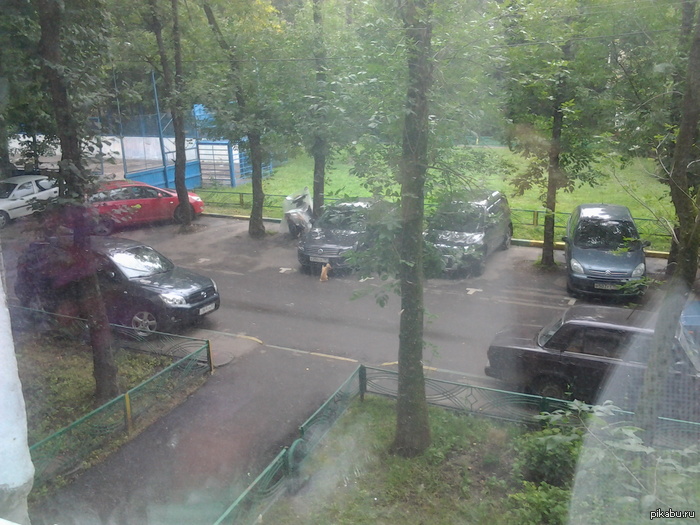 Однажды мне случайно удалось заснять того кто скручивает номера