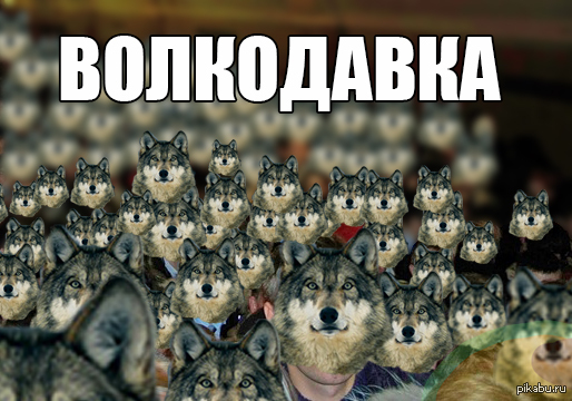 Волк+давка=Волкодавка