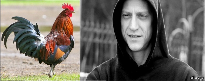 ��� ����� ��