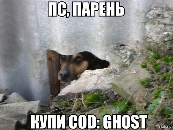 ..    :)   Call of Duty: Ghost,         .          ,   :)